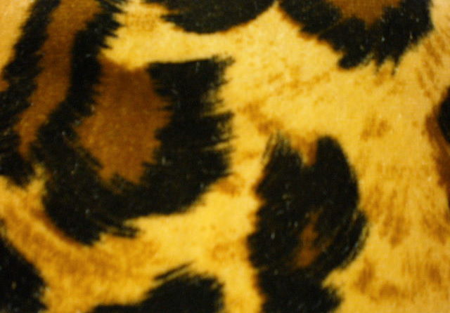 10.Brown Black Leopard velvet